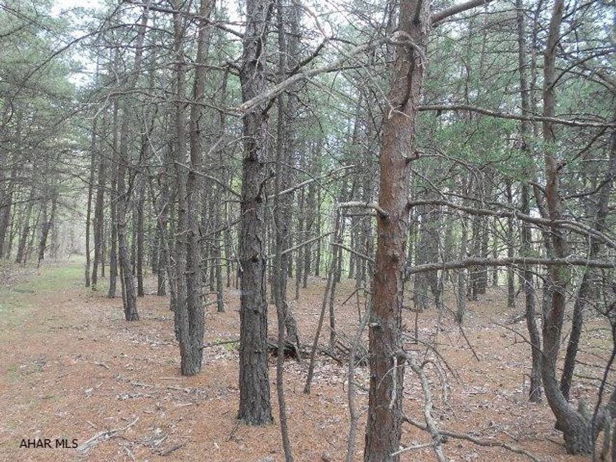 Scenic wooded land behind Everett High School. Adjoins Tenley Park for hiking, biking and picnics. 28.272 acres that would make a lovely building site for your new home.