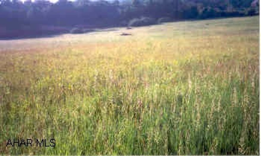 Ground needs Well & Septic