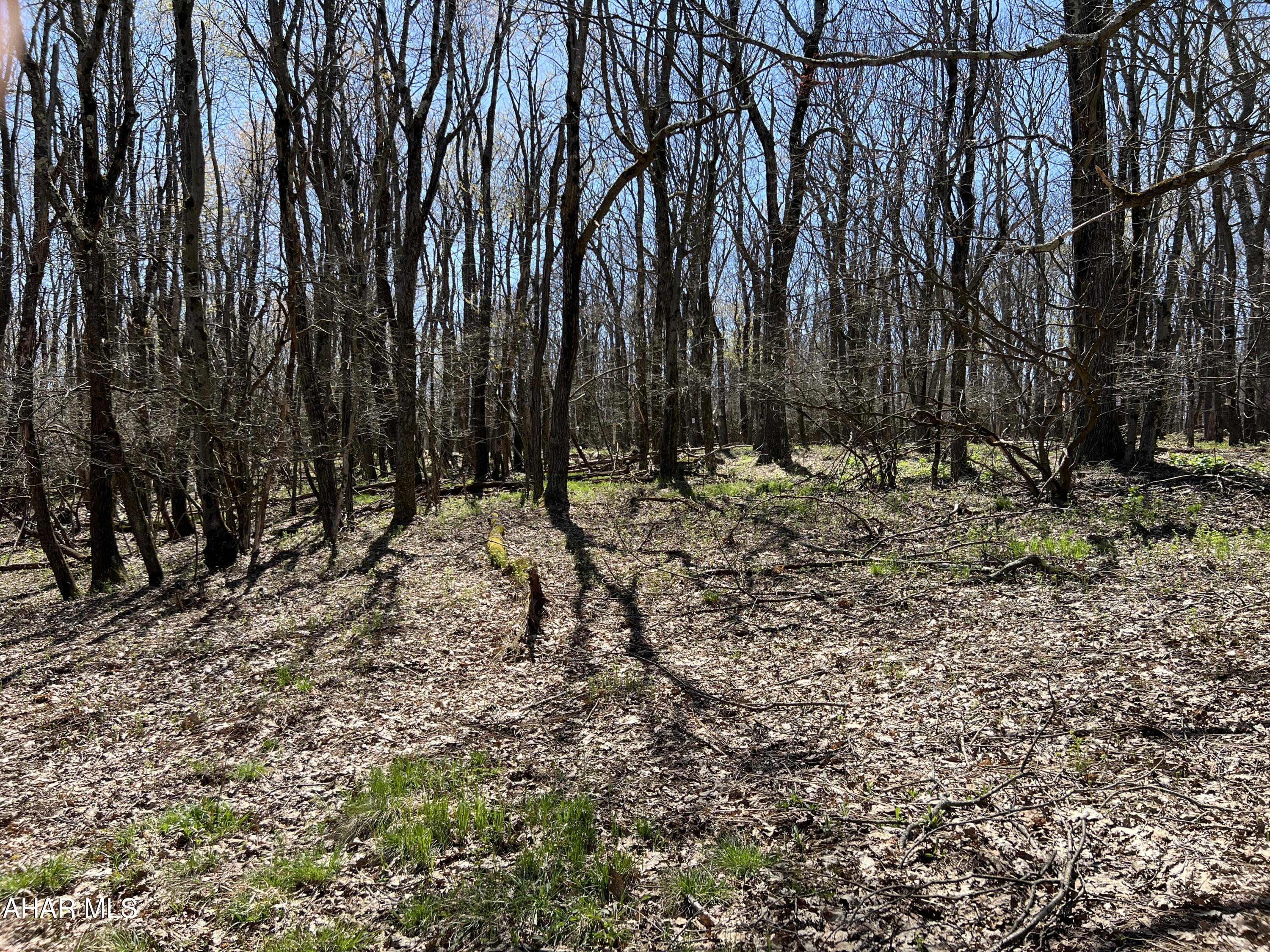 Folmont - Commercial Sale