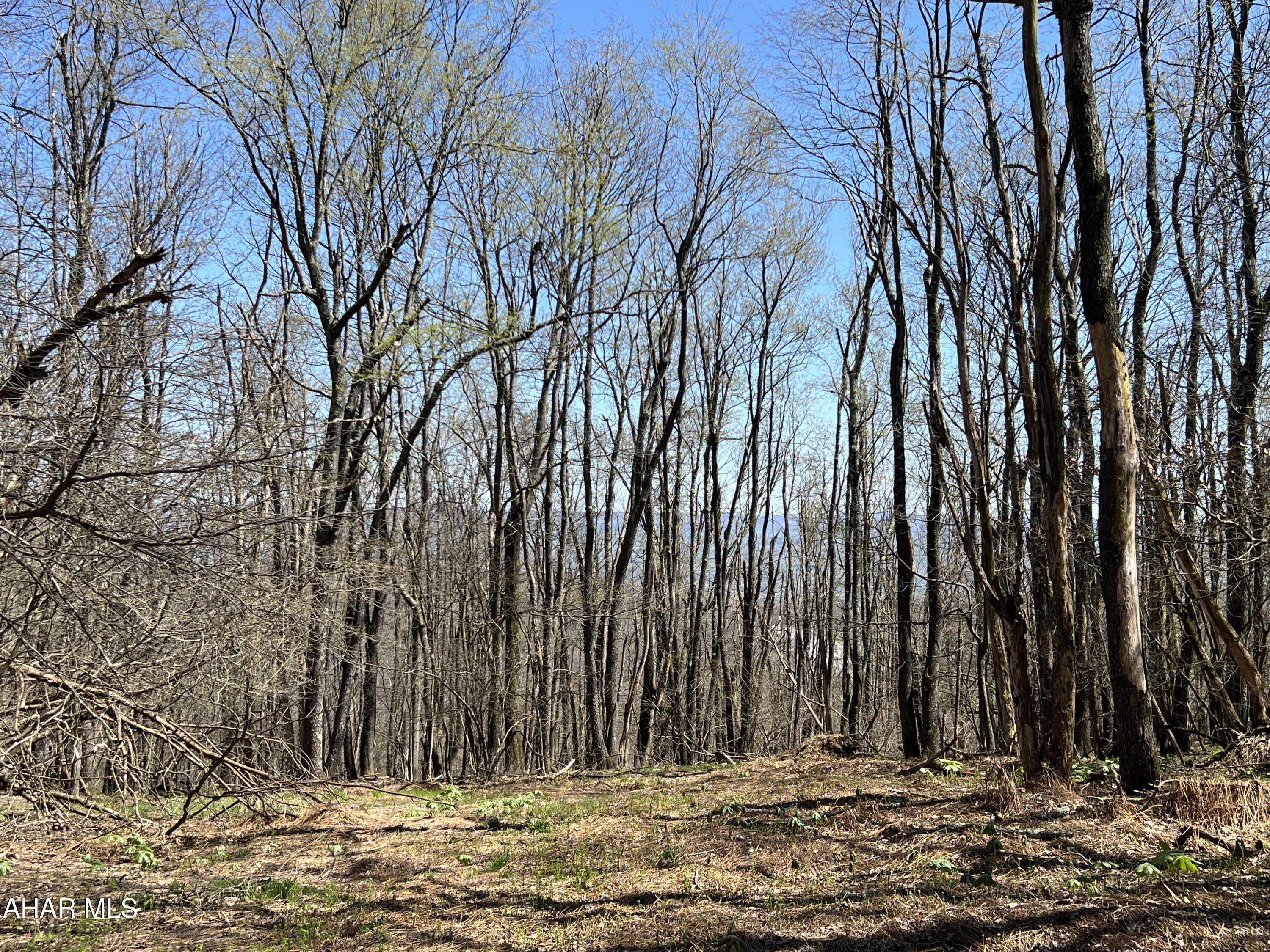 Folmont - Commercial Sale