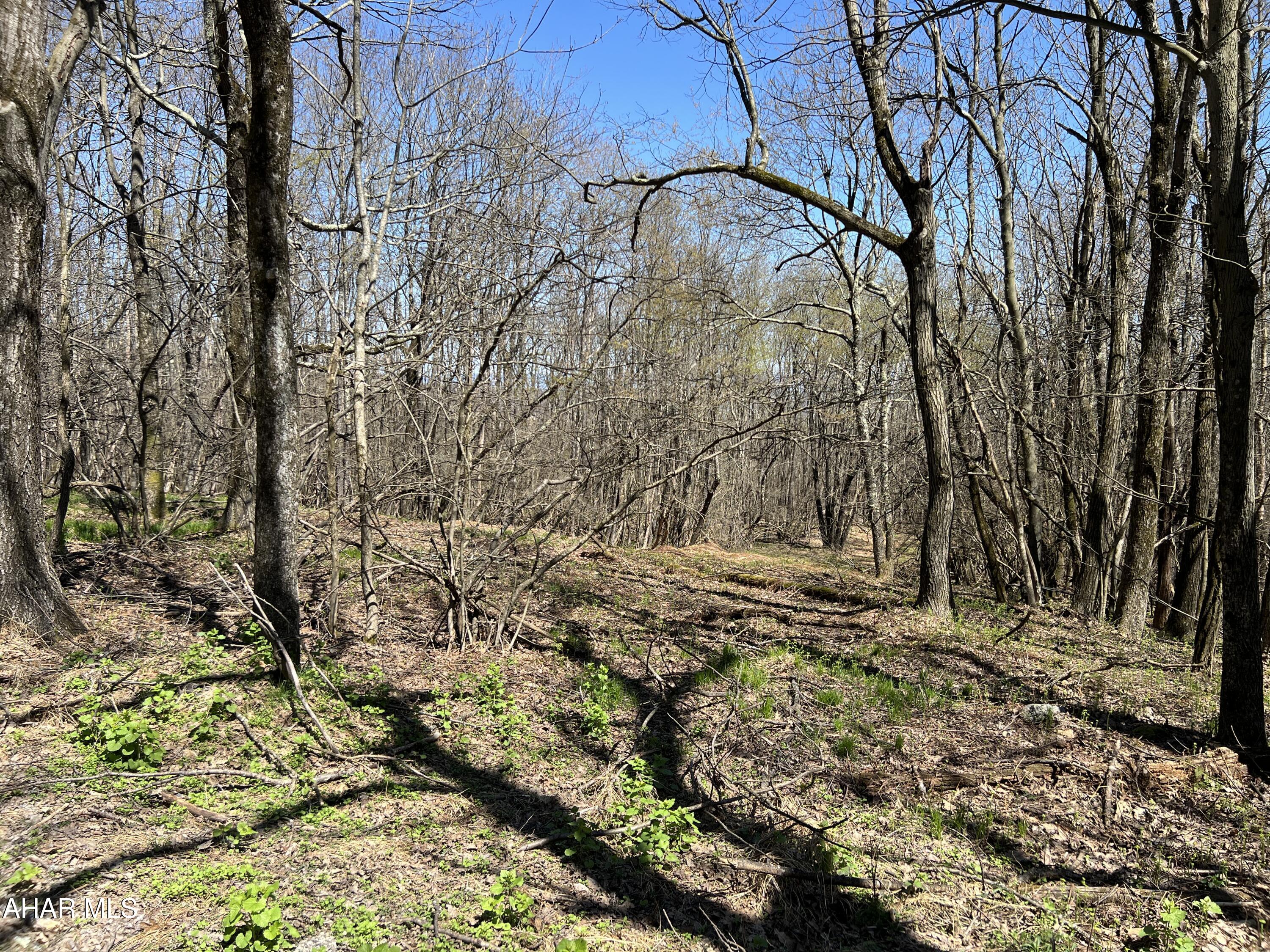 Folmont - Commercial Sale