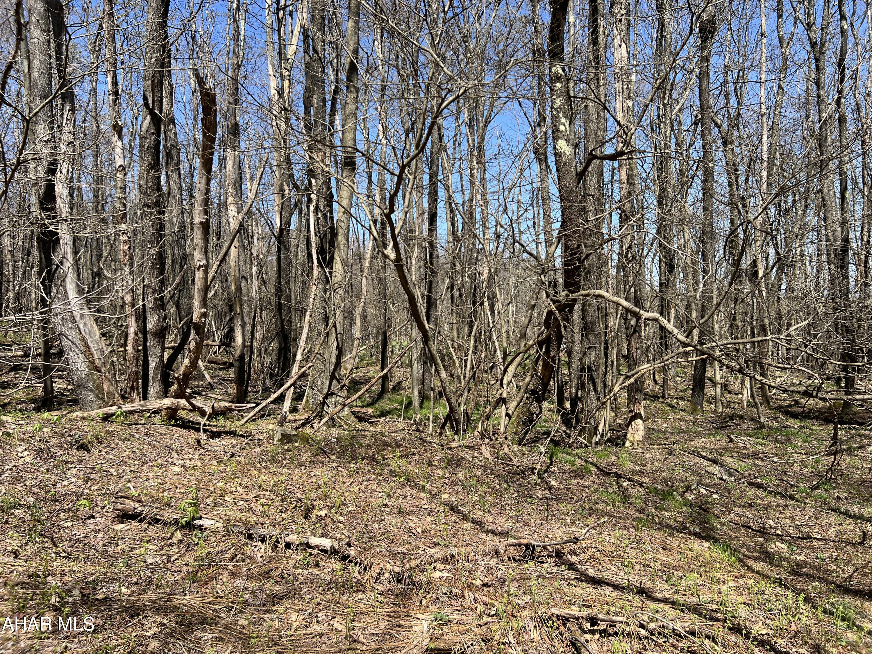 Folmont - Commercial Sale