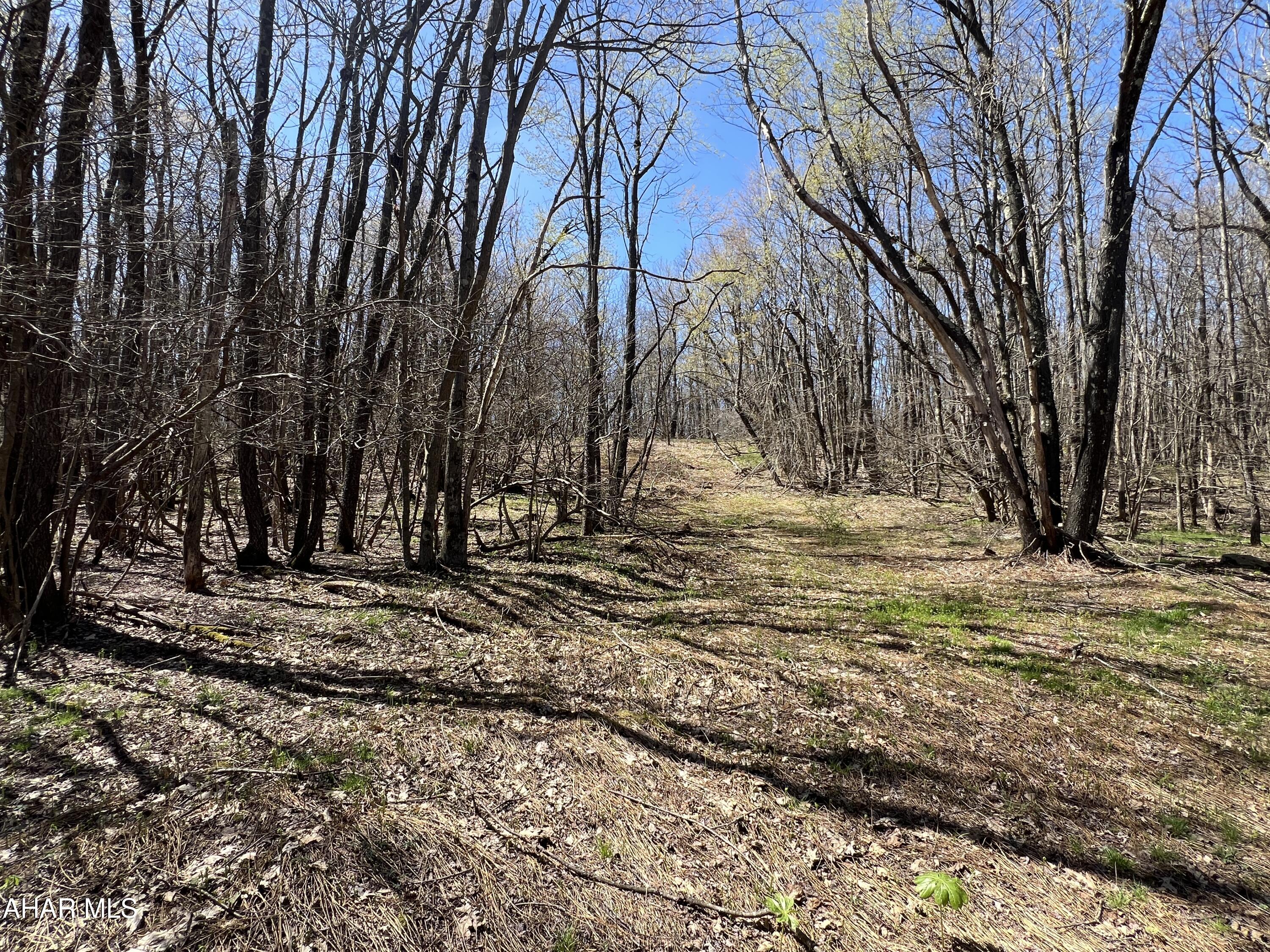 Folmont - Commercial Sale