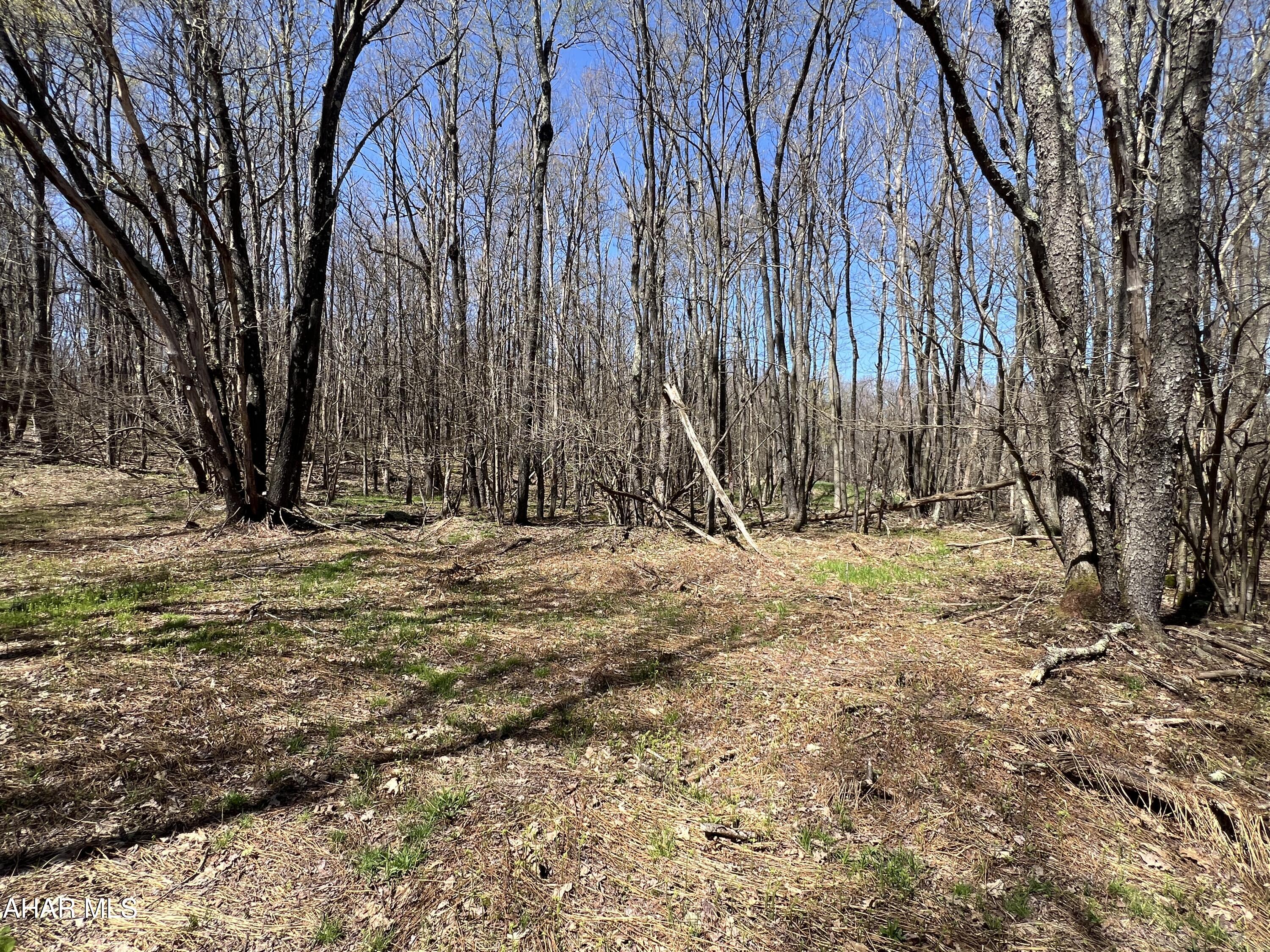 Folmont - Commercial Sale