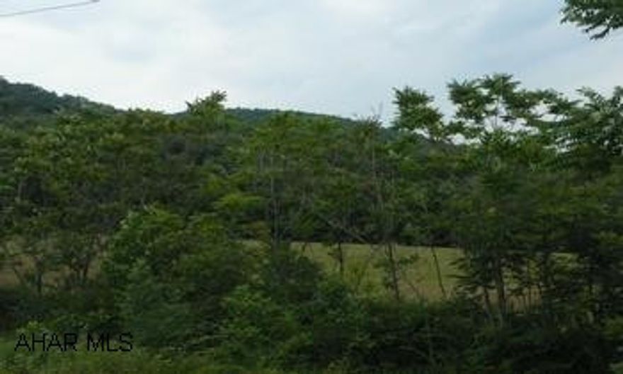 7 Acre Pasture, 3/4 Acre rough forrest ground adjoining (320 acres) State Game Lands.  7.78 Acres.  Frontage:  396  Depth Ft:  388  Length on backside of property:  793' 7 Acre Pasture, 3/4 Acre rough forrest ground adjoining (320acres) State Game Lands.Directions:  At light in Martinsburg, take Rte. 866 towards Williamsburg, go 7 miles on Rte 866, turn left onto Piney Creek Crossing Rd, go .3mi. turn left @ Y, go .3 mi. and turn right onto Stone Row Circle Lane, Look for Remax signs.  They are on the property.Frontage:  396 / Depth:  388  Length on backside of property:  793'