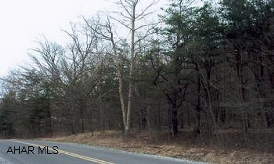Beautiful 1 acre home site overlooking the Bedford Springs golf course. Fantastic gently sloping and wooded one acre home site located close to the new Bedford Springs Resort. The property offers 240 feet of paved road frontage and is 181 feet deep. Both municipal water and sewer are available street side for future tap-on. The site offers panoramic views of the Bedford Springs golf course and the beautiful surrounding hillsides. Premium site for your dream home.