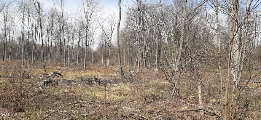 Come take a walk on this beautiful, flat 6.5 acres along Coupon Gallitzin Road.  This property has been select cut and has also been perc tested and surveyed. This land is ready for your building plans. Call for your tour and survey map.