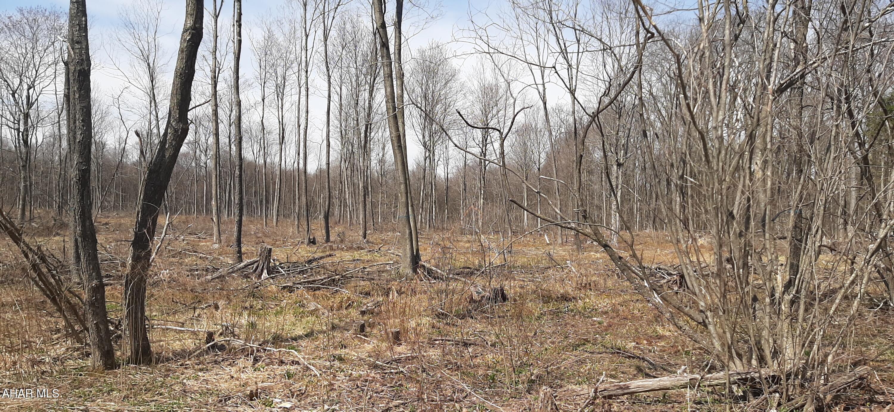 Other - Commercial Sale