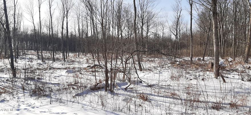 Come take a walk on this beautiful, flat 6.5 acres along Coupon Gallitzin Road.  This property has been select cut and has also been perc tested and surveyed. This land is ready for your building plans. Well will need to be drilled and power is along the road. Call for your tour and survey map.