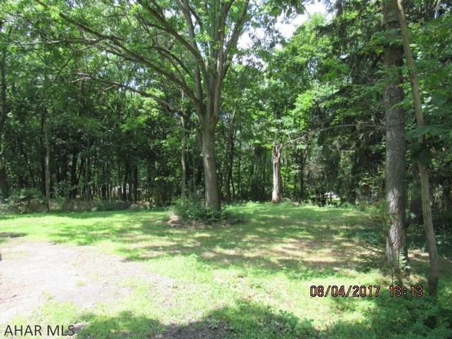 Two lots: 75 x 233 Irregular and 75 x 269 Irregular. 150 Ft frontage on Frankstown Rd. City sewer is available. Hand dug well has been filled in. Drilled well is in place...Seller does not know the condition. Septic tank in place...Seller does not know the condition. There is a home on the property that needs to be torn down.