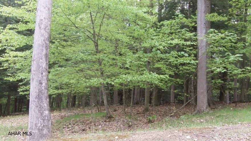 Great wooded lot for your vacation cabin or full time home.