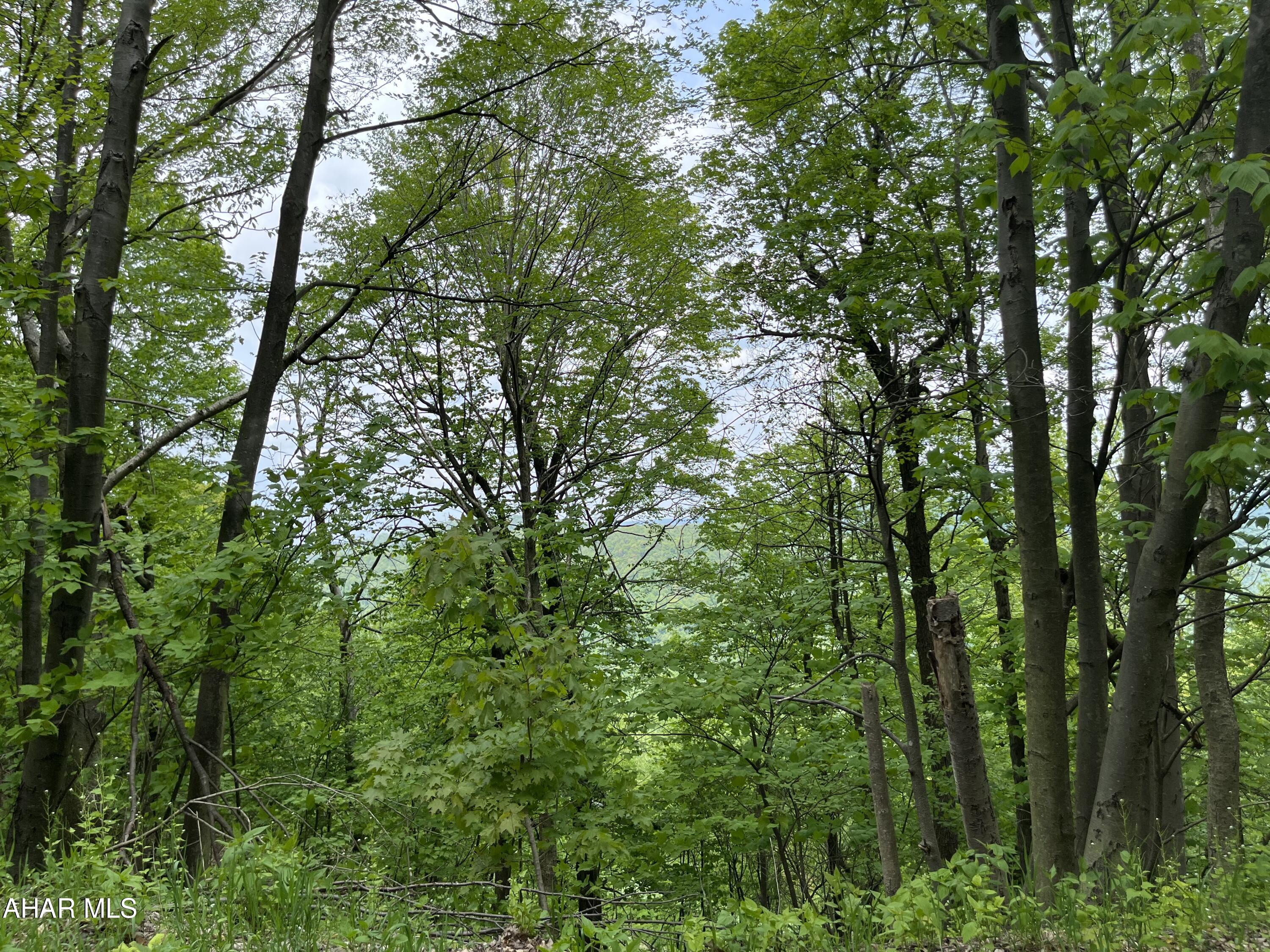 Blue Knob - Commercial Sale