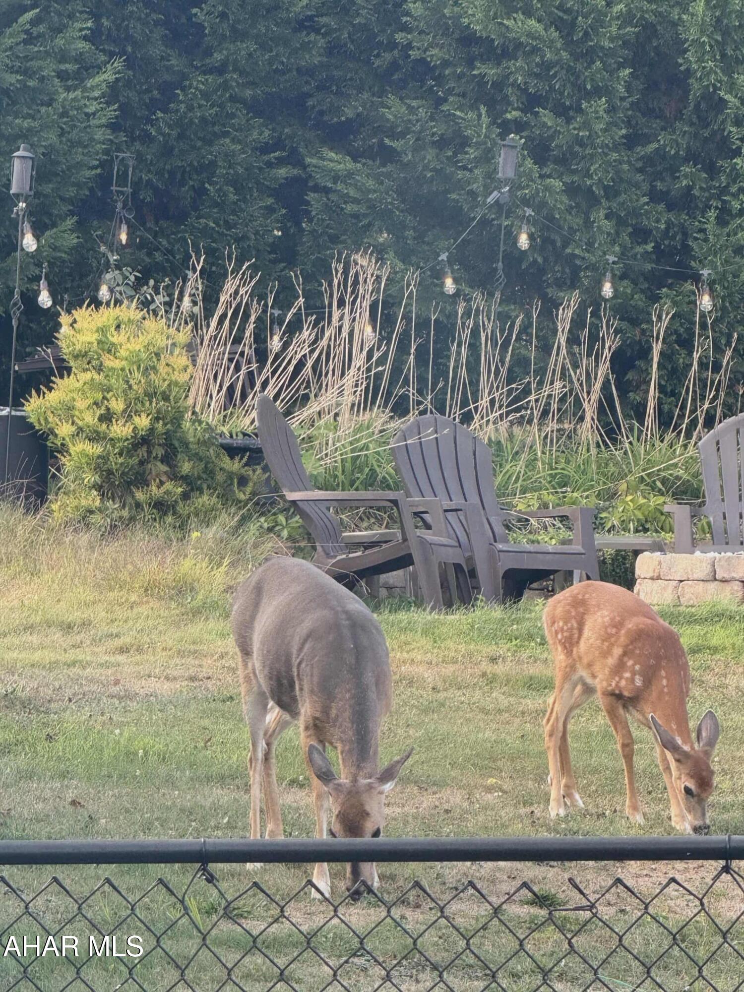 Toy Town - Residential