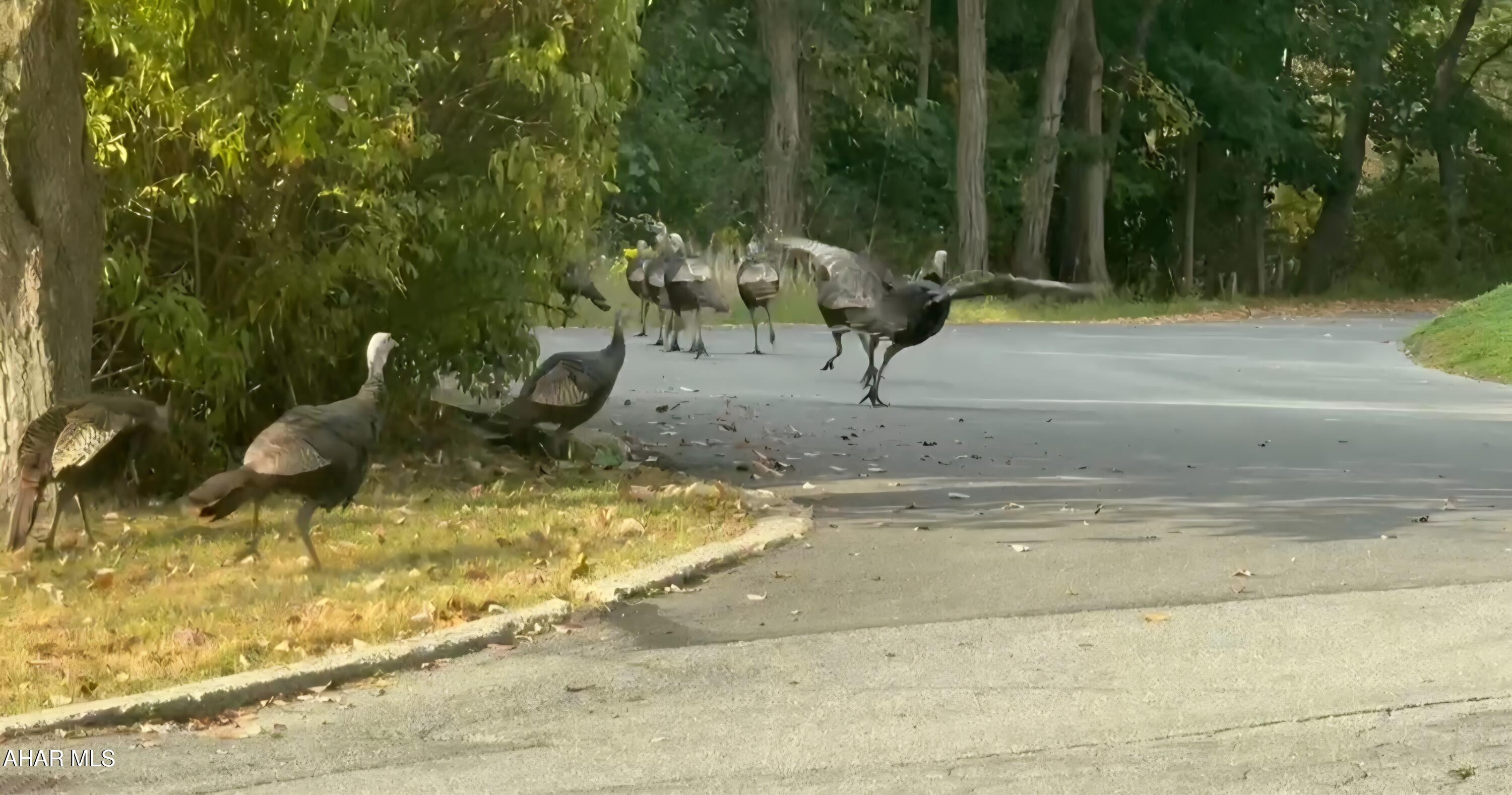 Toy Town - Residential