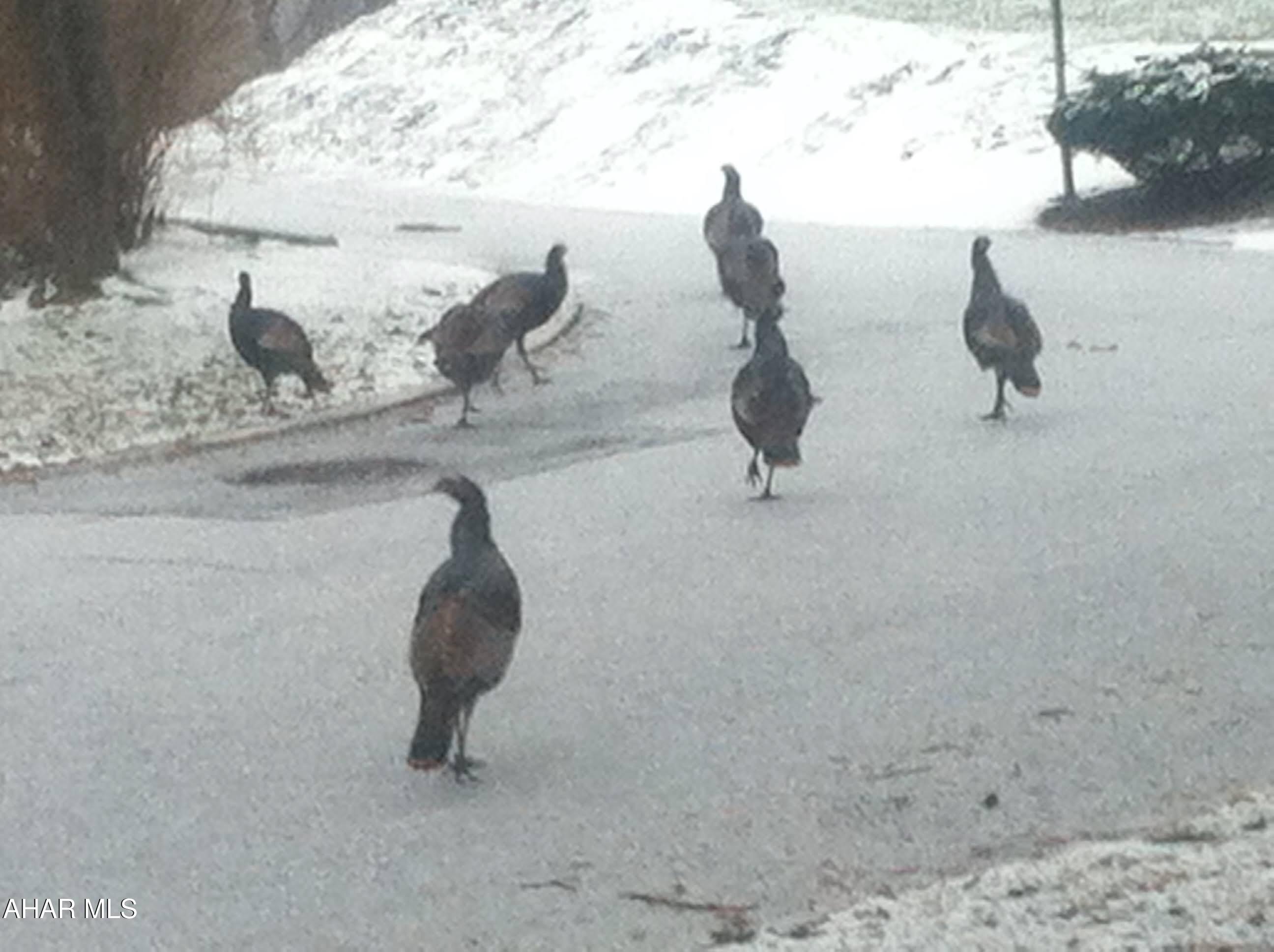 Toy Town - Residential