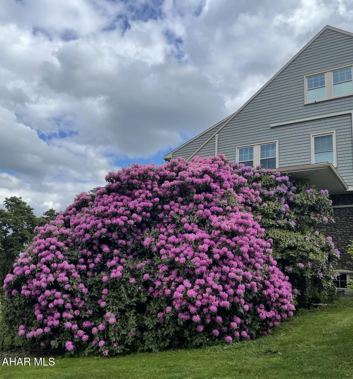 Toy Town - Residential