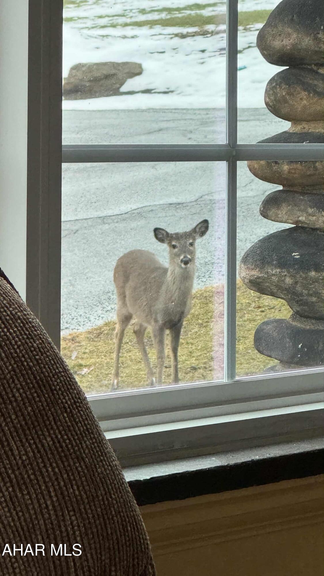 Toy Town - Residential