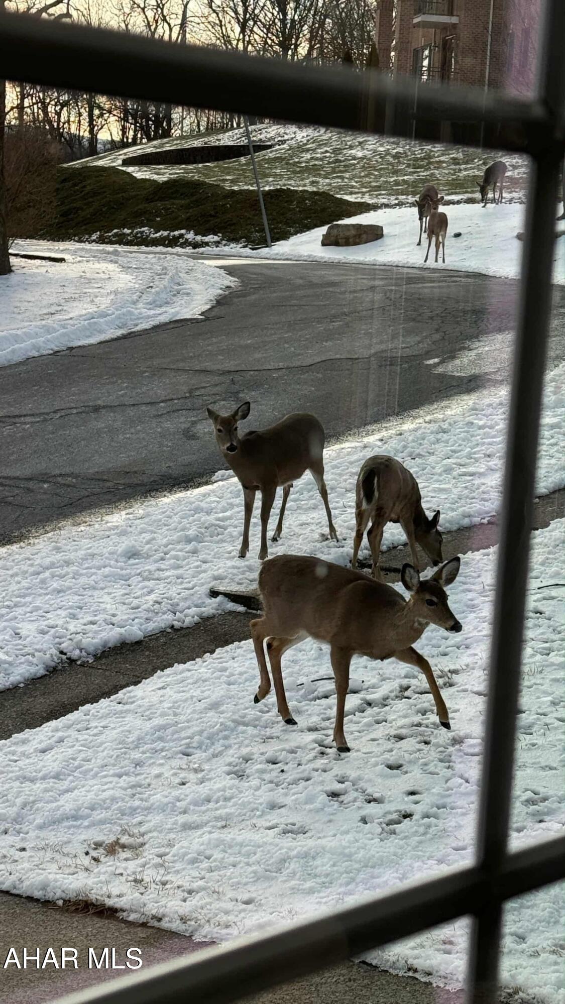 Toy Town - Residential