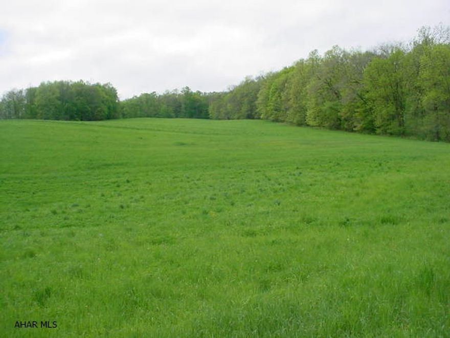 THE LOCATION OF THE SURVEY STAKES IS UNKNOWN.