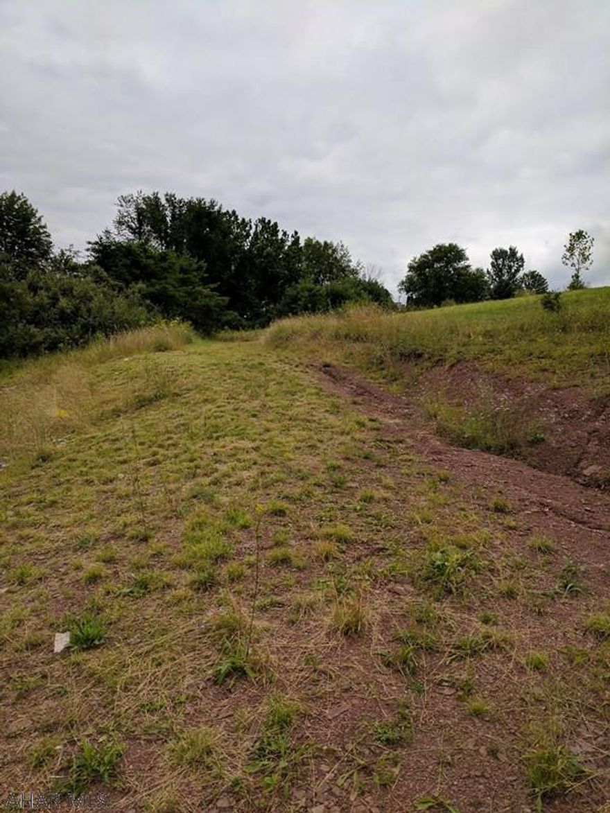 Looking for some acreage to start an off the grid homestead, or maybe just a nice building lot with some extra land?  With 14.66 acres, accessibility to Public Sewer and a convenient distance to the Turnpike and Route 30 this property has you covered.  There's even a cabin located on the property that has been prepped for use as a hunting cabin, or a full time residence depending on your taste.  This property is not going to last long!