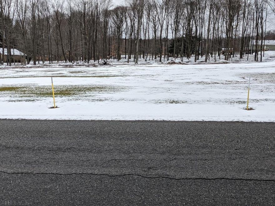 Partly wooded 1 acre land ready for building. Public water and sewer available.20 ft wide right of way to property in rear which includes the trees.  Near recreational area.  Jackson Twp; Central Cambria School District.  Lot 3 of subdivision Plat Bk 10 page 273.  Can be purchased separately or with Lot 2 subdivision front lot (1.07 acre) MLS L59610A - Plat Bk 10 Pg 273 in another listing.