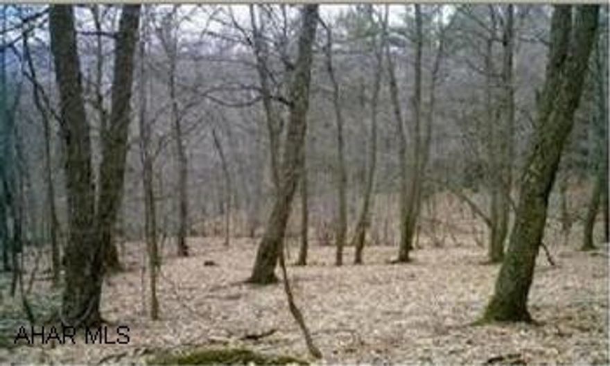 Wooded with view 11 acres( 2 parcels) Suitable to build your dream home. 2 tax ID# 21-16-2-1, 21-16-2-2