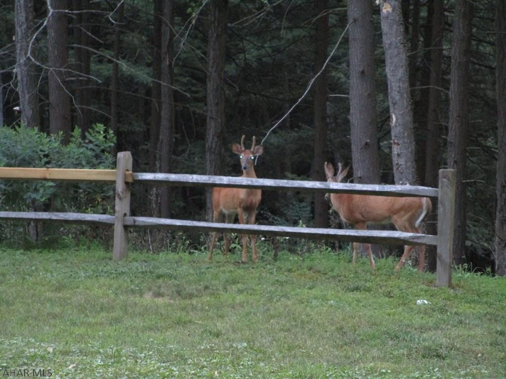 Glendale Yearound - Residential