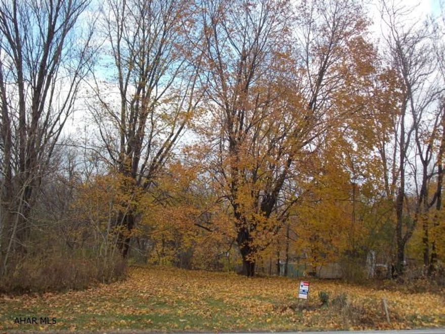 Build your new home in Bellwood School District. This 1.3 acre lot has public water and sewer. Easy access to I-99 and of course Delgrosso Park. Could also open a business on this lot. Start dreaming today.
