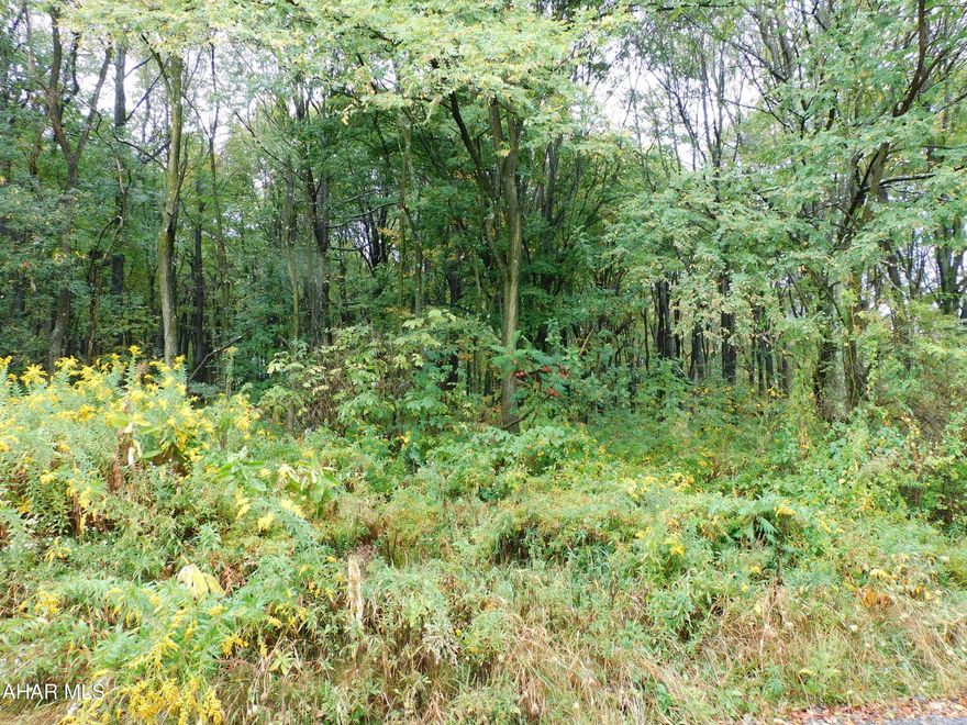 Approximately 2.2 Acres in Cambria County. Wooded and mostly flat. Only 20 minutes from Altoona.