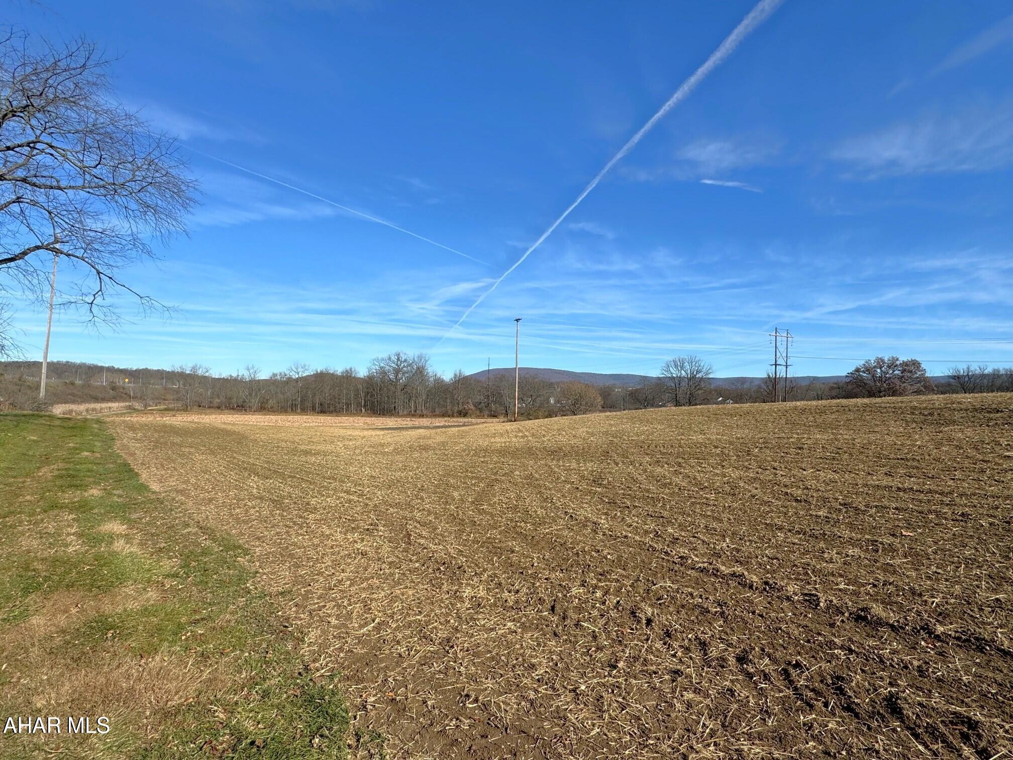 None - Commercial Lease