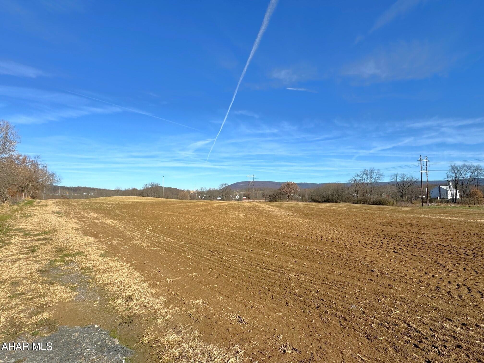 None - Commercial Lease