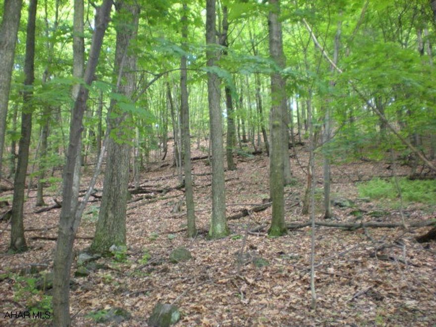 OWNER WILL FINANCE!!!!   Fabulous views await you on this 15 acre property. Only minutes from downtown Bedford, PA and the Bedford Springs Resort(where you can enjoy an array of activities anywhere from golfing, swimming or the spa.) This property is primarily wooded so it would be ideal if you happen to be a hunter. Also within a short driving distance is Shawnee State Park, Rocky Gap State Park, Raystown Lake and Blue Knob All Seasons Resort for the skier in your family.  Property was perked previously. This property is an excellent value!