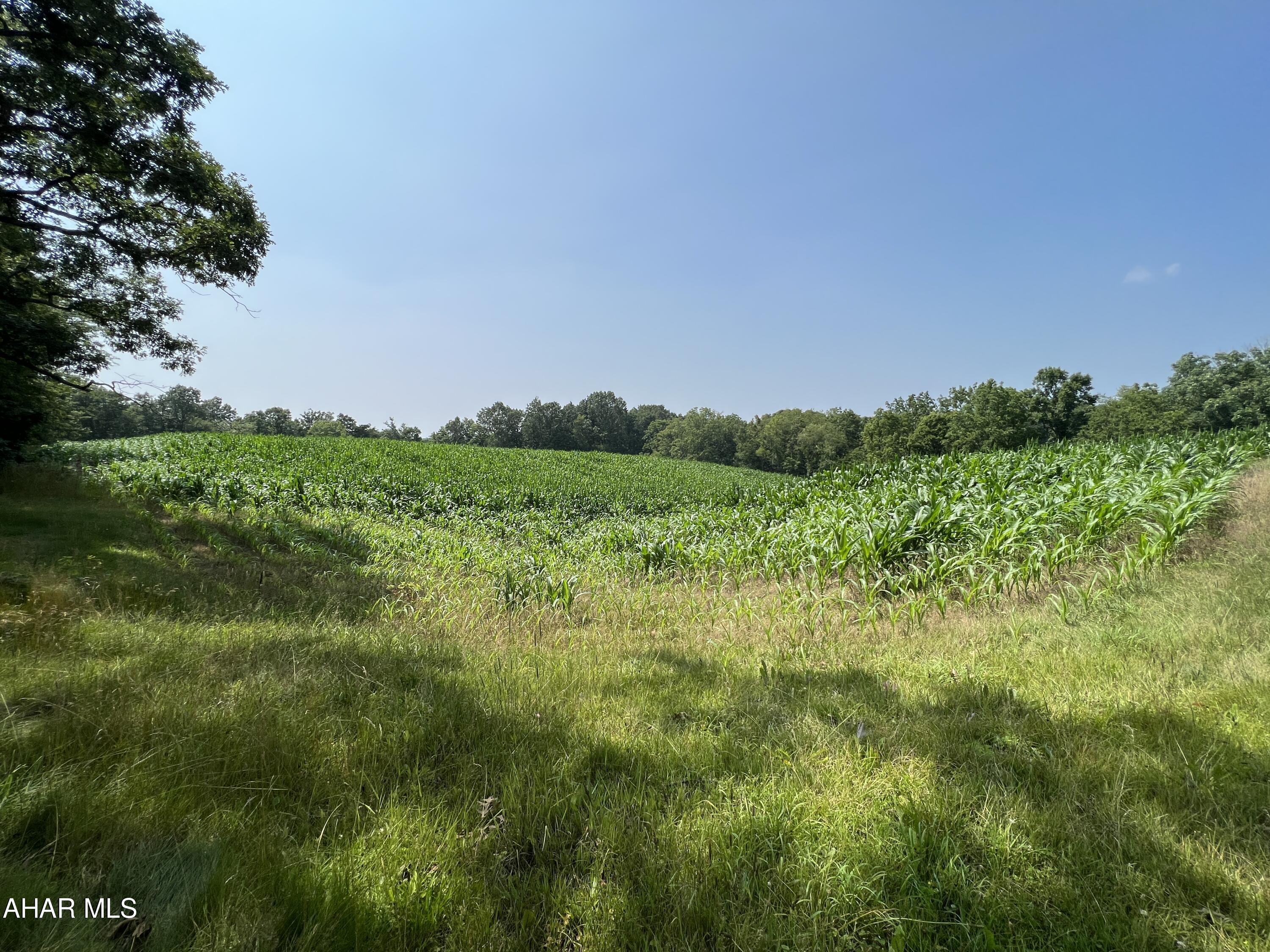 None - Commercial Sale