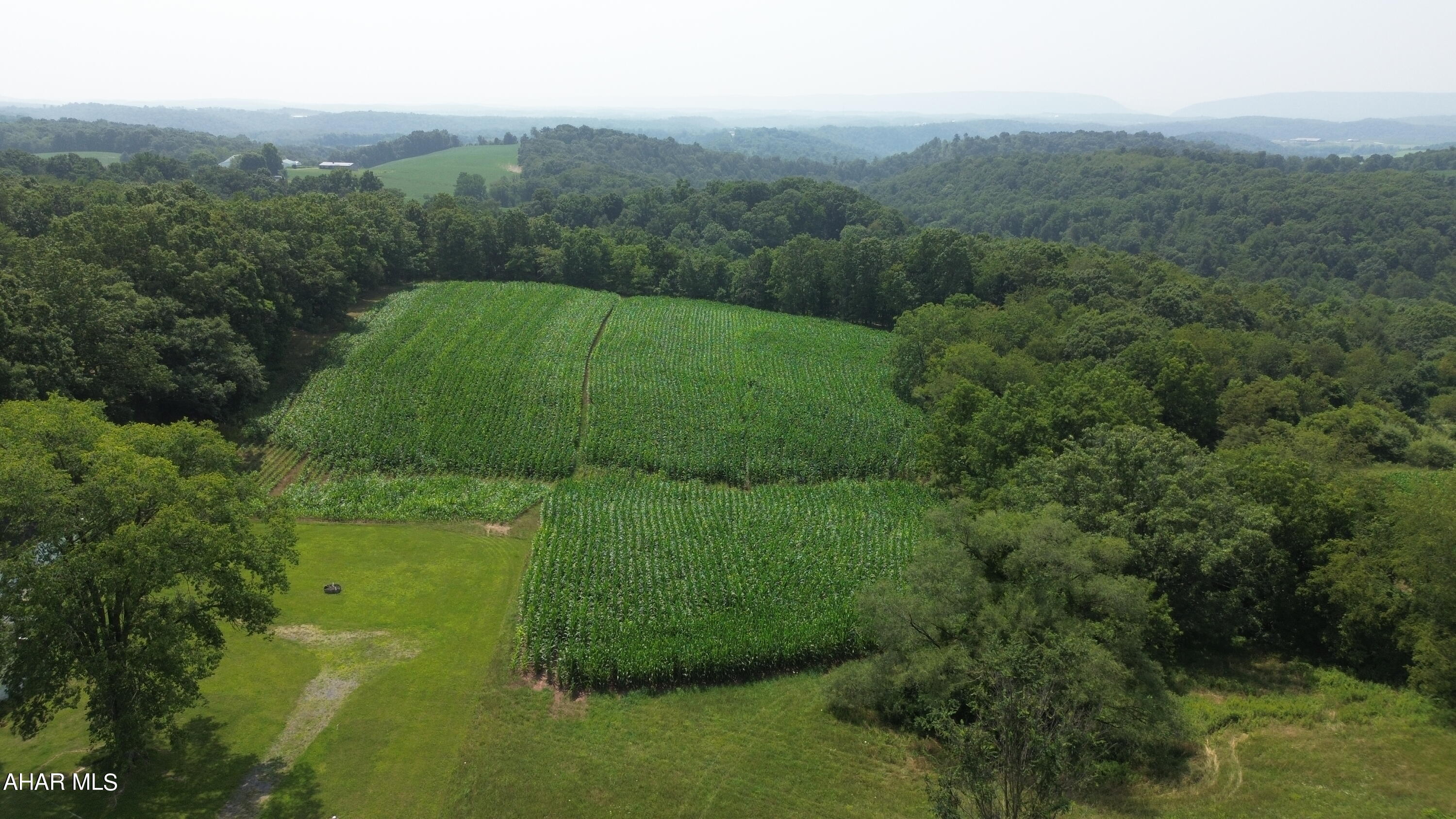 None - Commercial Sale