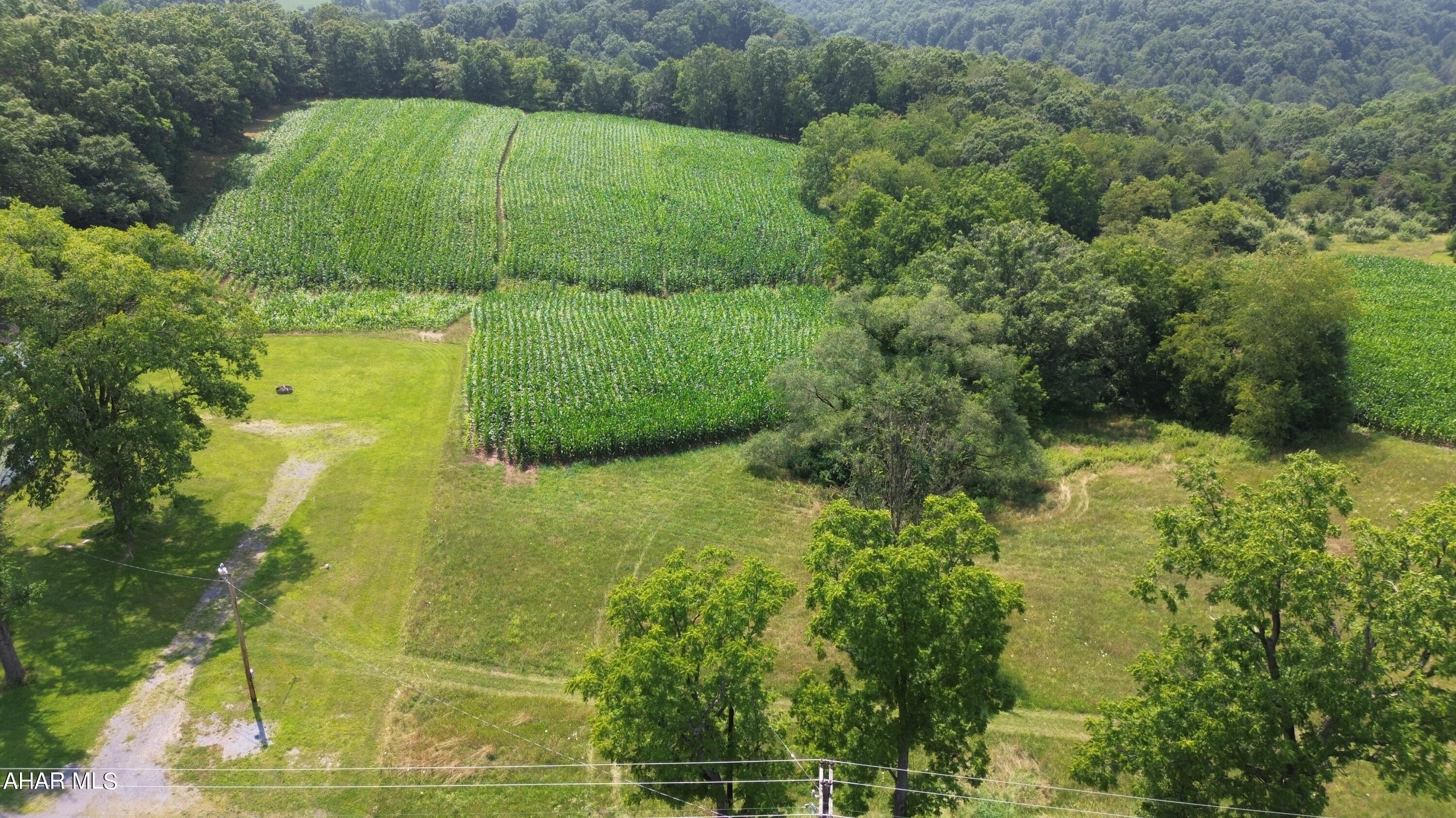 None - Commercial Sale