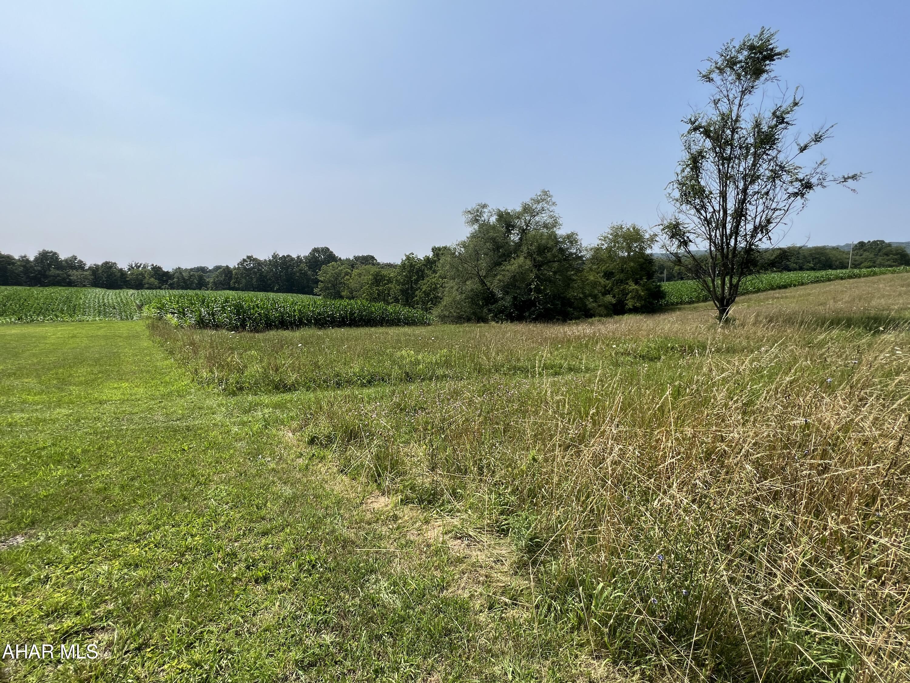 None - Commercial Sale