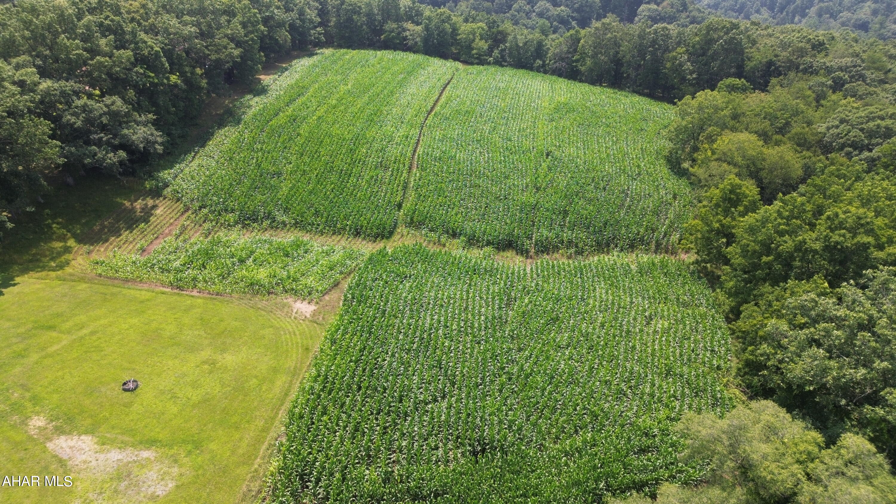 None - Commercial Sale