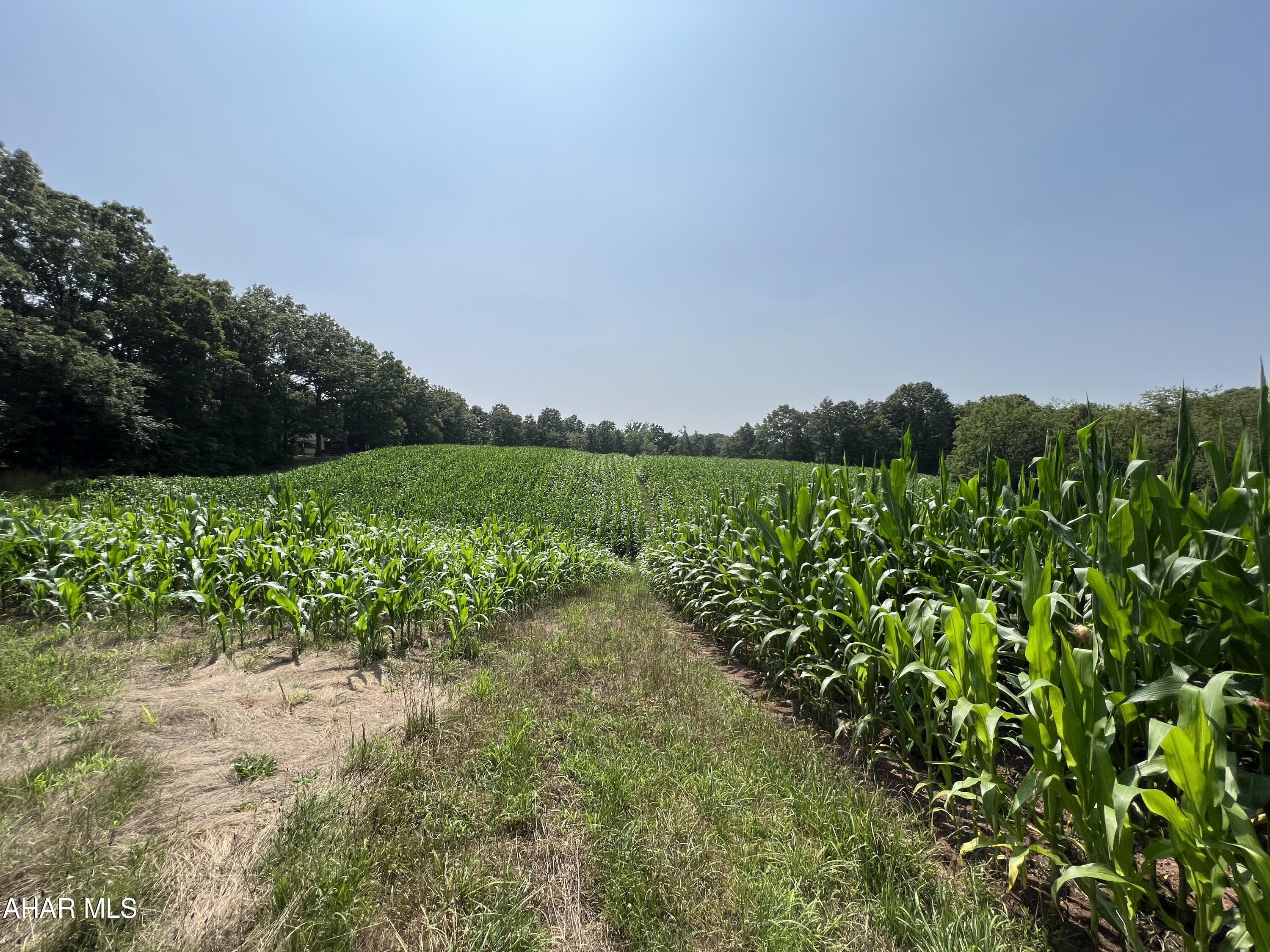 None - Commercial Sale