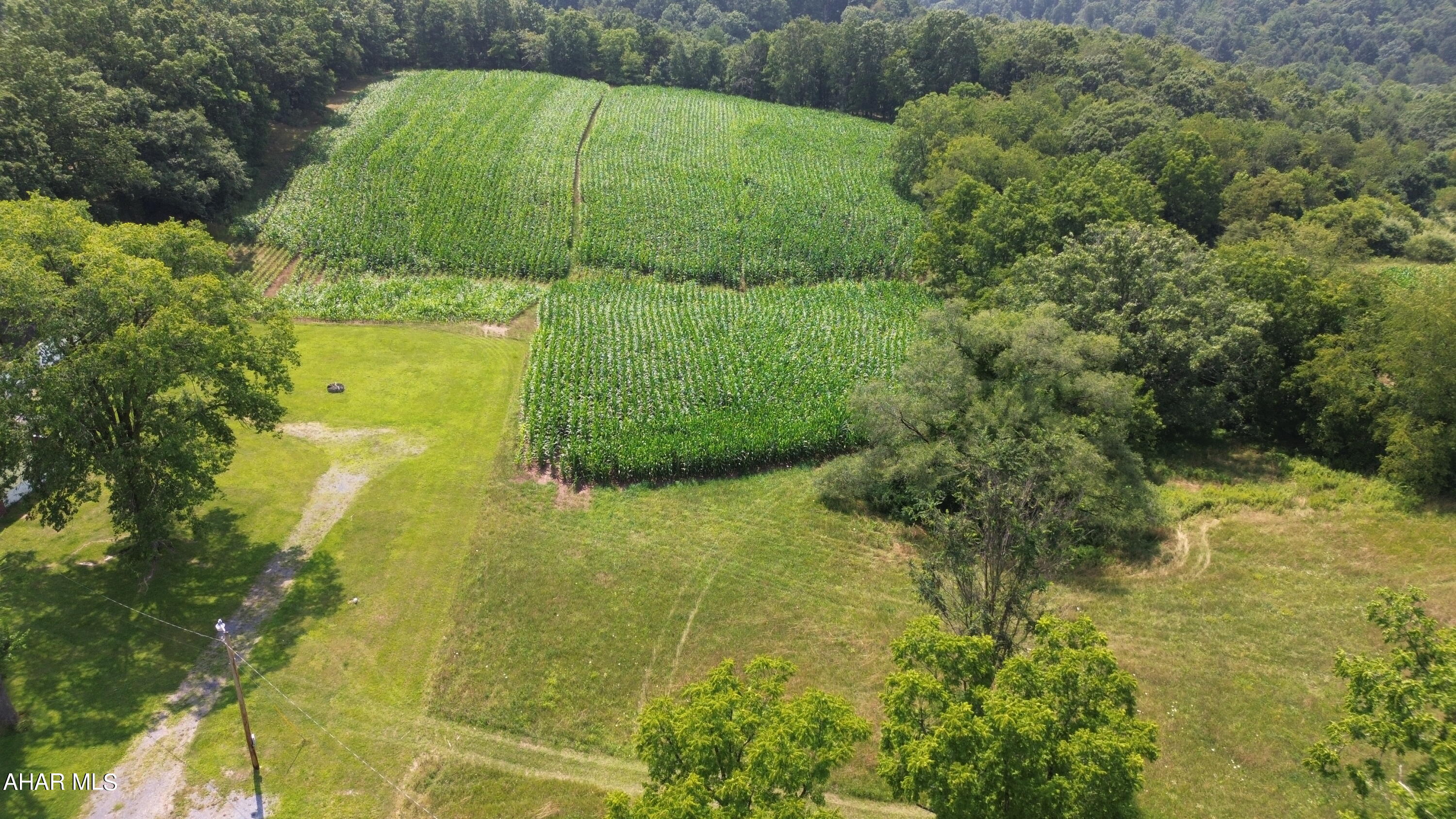 None - Commercial Sale