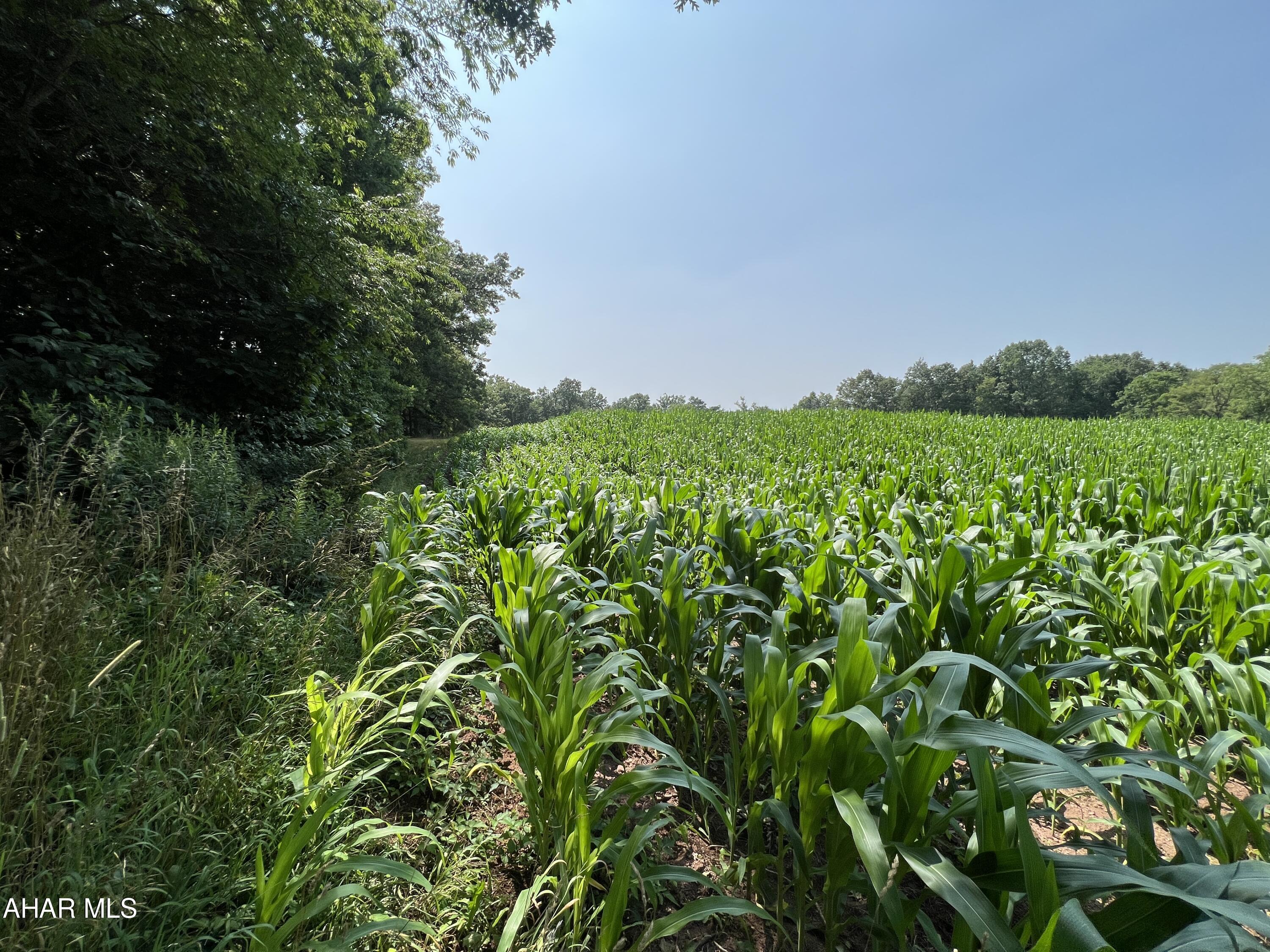 None - Commercial Sale