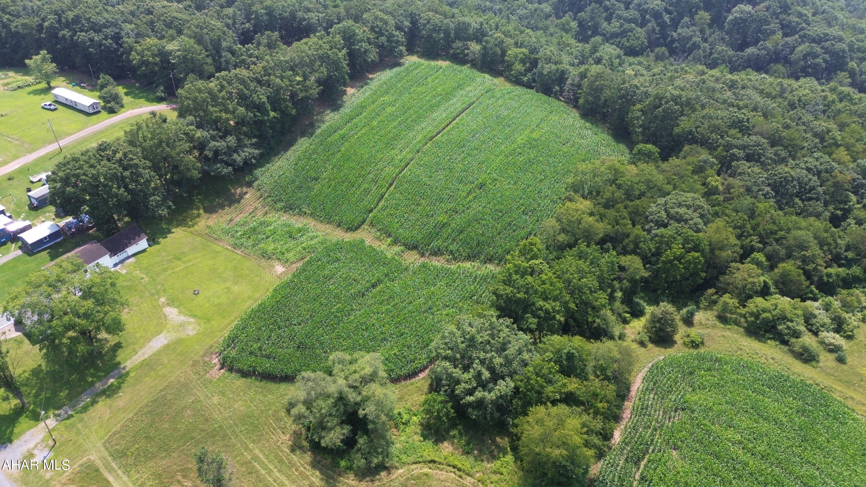 None - Commercial Sale