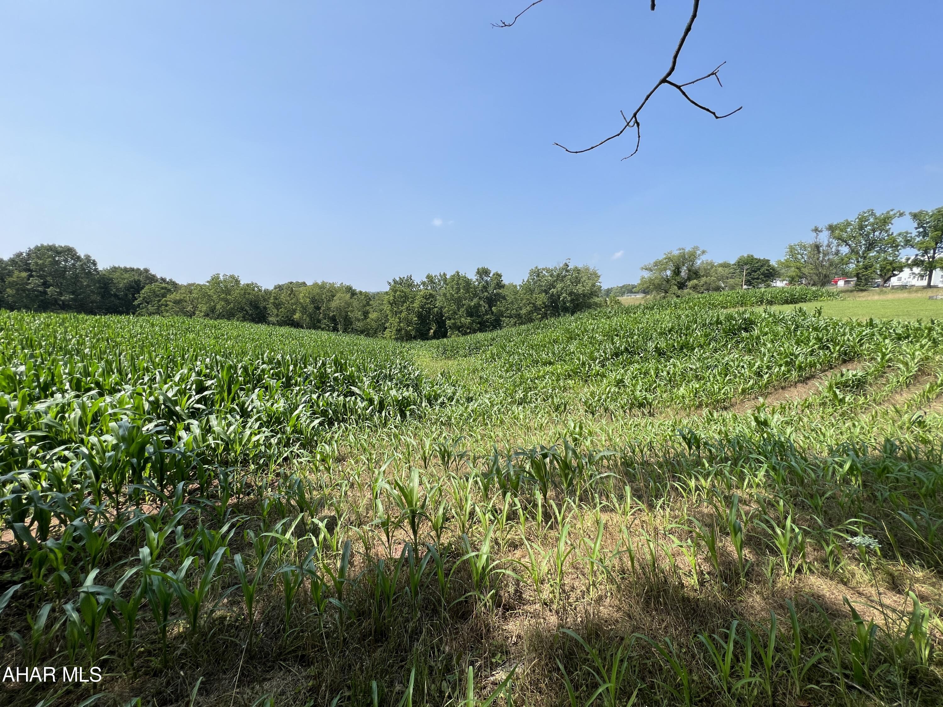 None - Commercial Sale