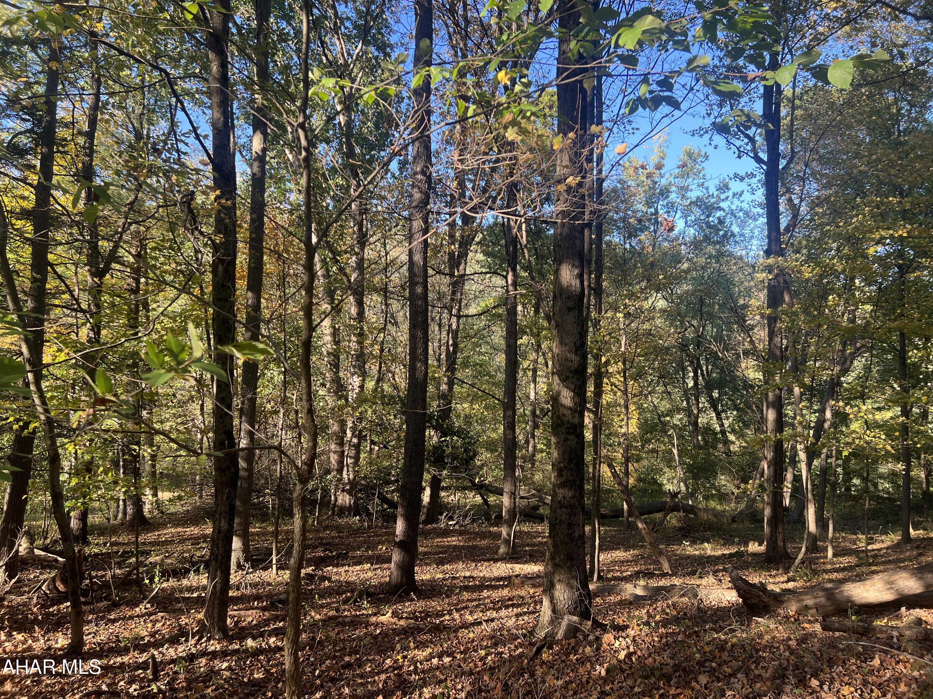 Cliffside Acres - Commercial Sale