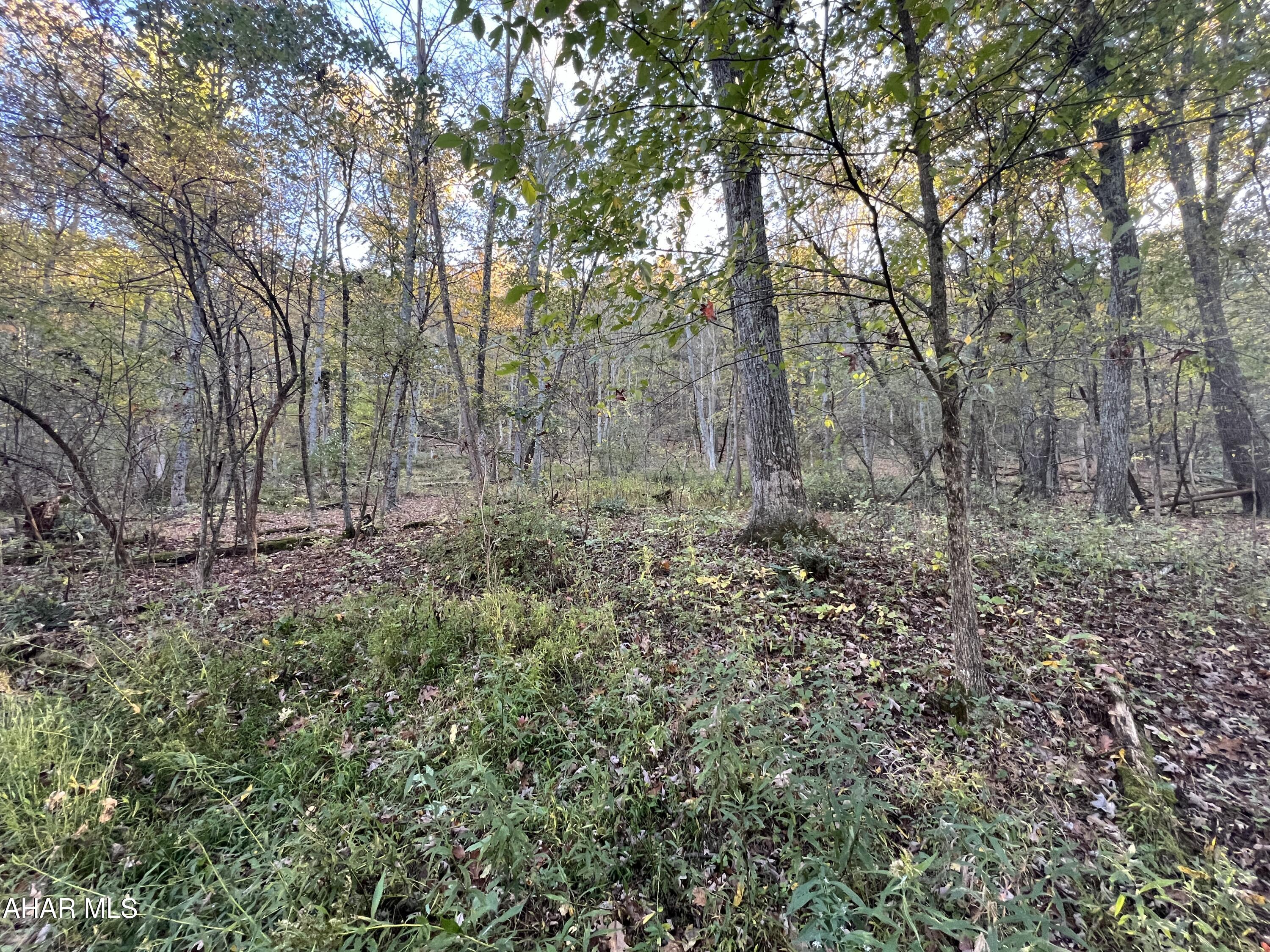 Cliffside Acres - Commercial Sale