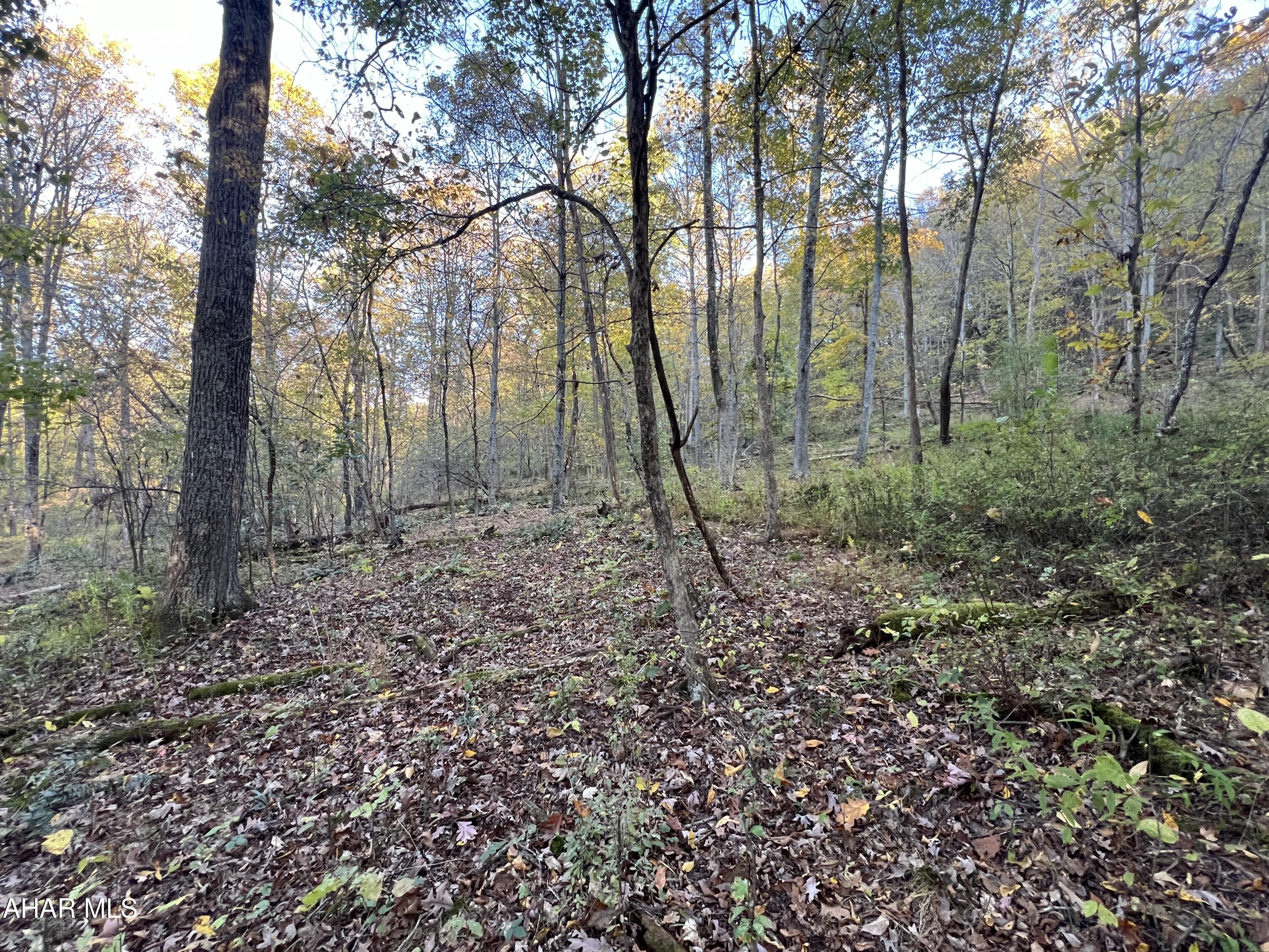 Cliffside Acres - Commercial Sale