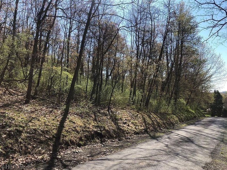 Seize this opportunity to own a beautiful and peaceful wooded building lot. 5 lots are currently available. Each lot has amazing views at the top of a gentle slope. All with perc tests on file for sand mound systems on or near potential building sites. Baughman Cemetery Road is a township maintained road. Each lot is over 10 acres and can remain in the clean and green program. Only 25 miles from both State College and Altoona they are ideally located for an easy commute on I-99. With wildlife abound the joy of nature and elbow room are within your grasp. Don't miss out!