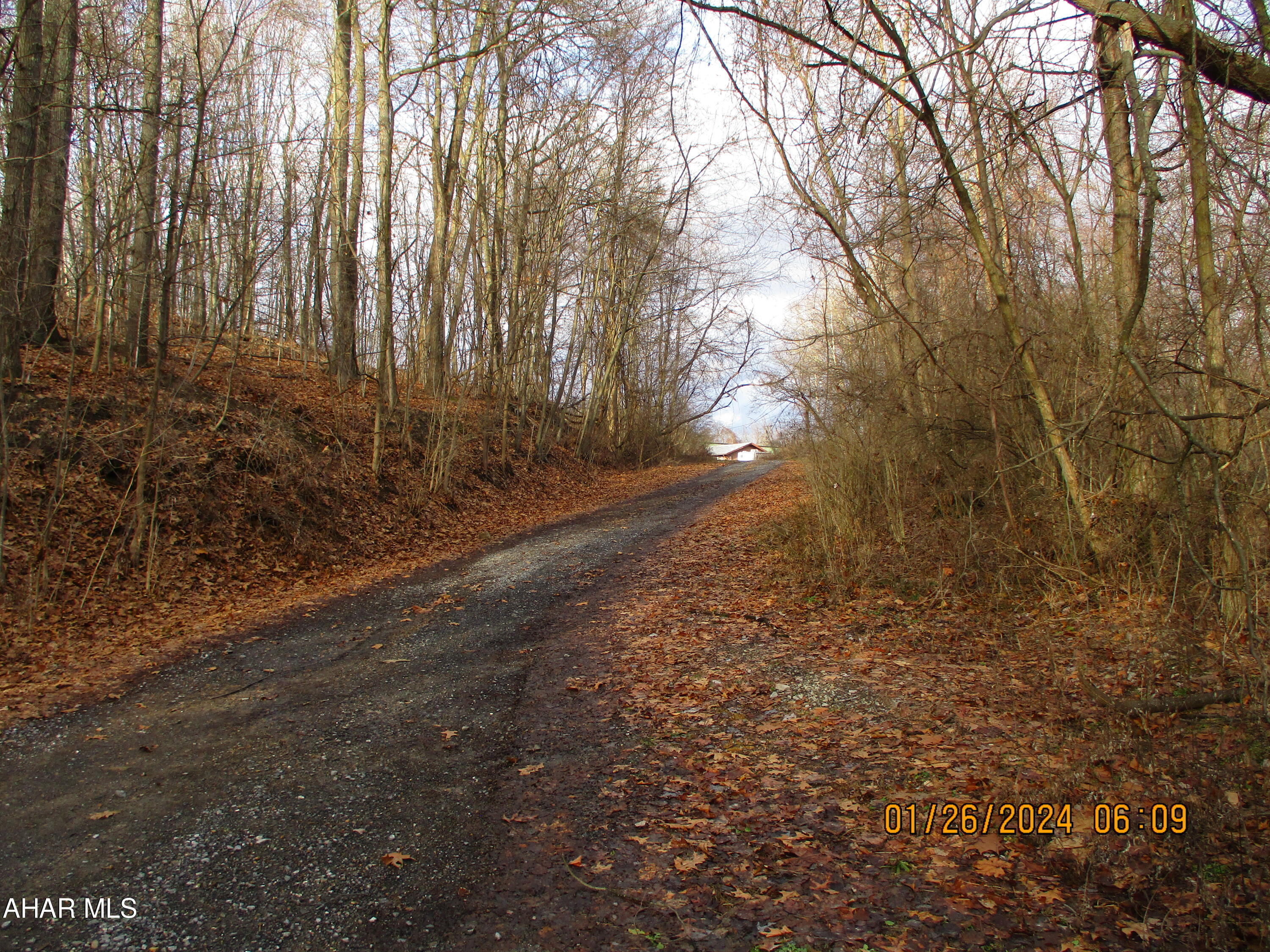 None - Commercial Sale