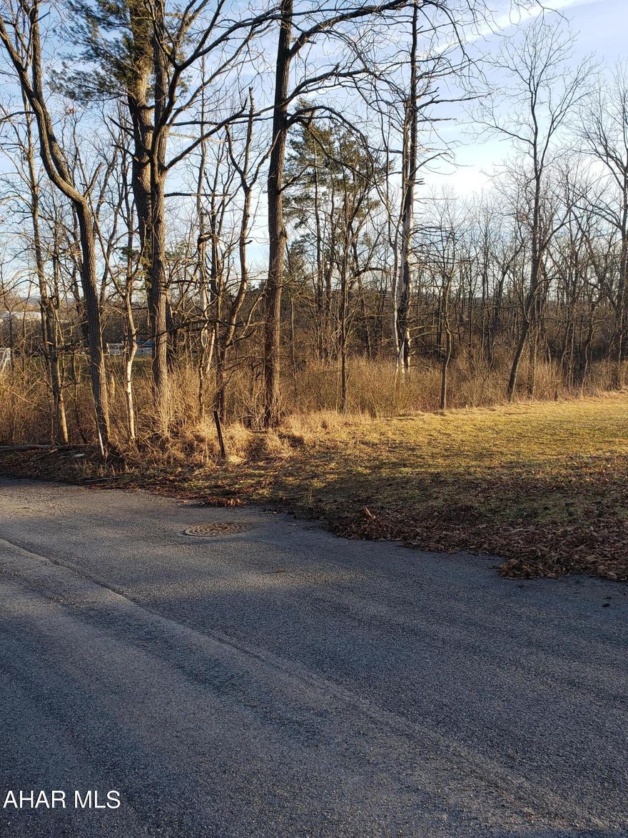 5.54-acre lot in Bedford Township.  It is close to Bedford, PA-Turnpike and I-99.  This country lot would make a great building spot for a home.