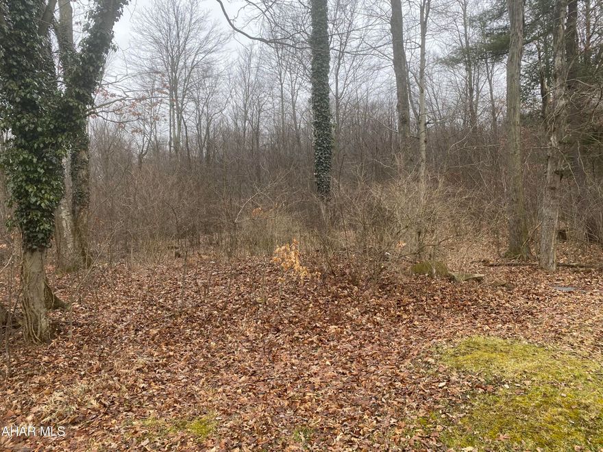 Land is realtor owned and easily accessible to all utilities making for easy access to put a home or camp or even a small business.