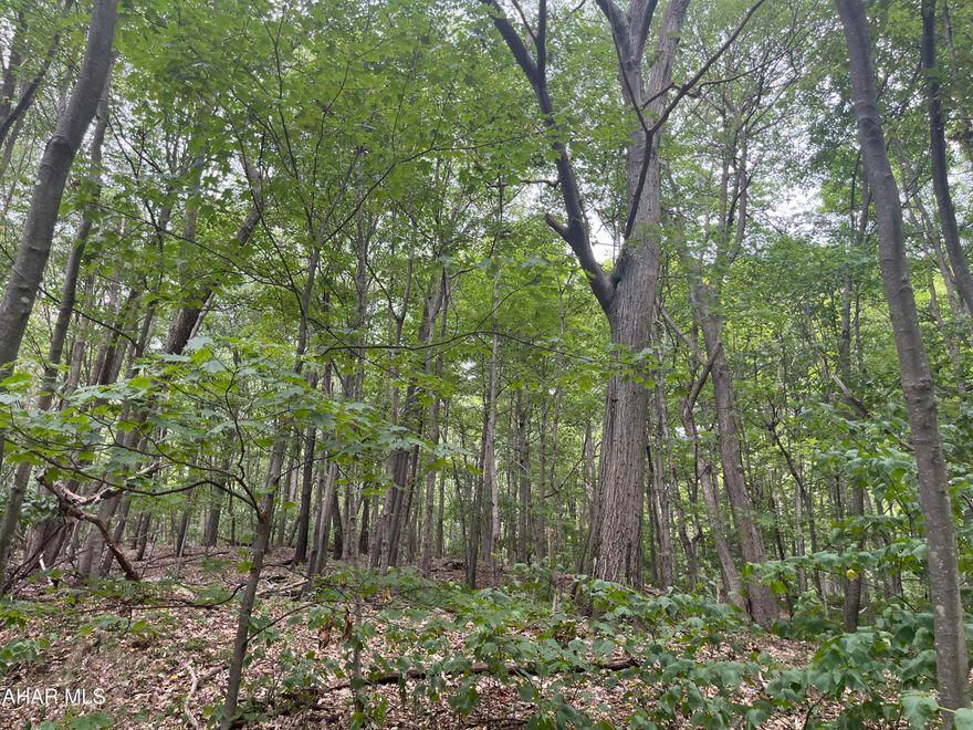 For comparable purpose only